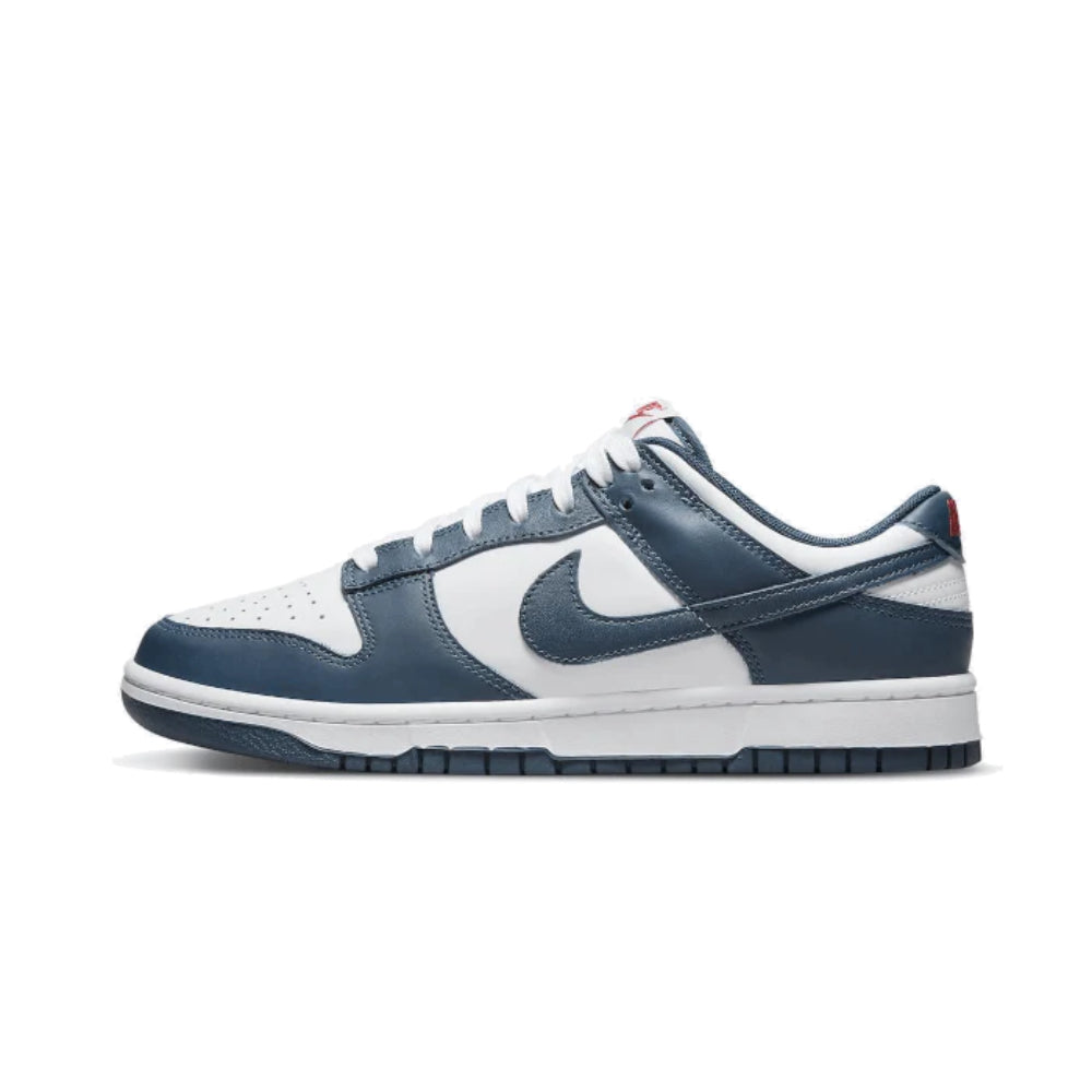 Nike Dunk Low Valerian Blue