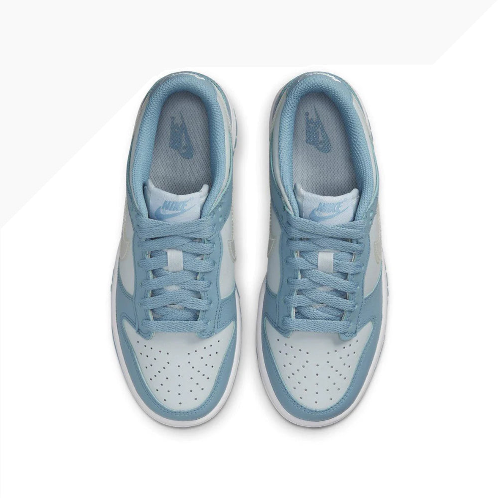 Nike Dunk Low Clear Swoosh